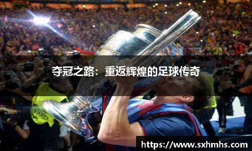 夺冠之路：重返辉煌的足球传奇