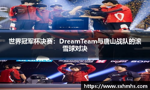 世界冠军杯决赛：DreamTeam与唐山战队的滚雪球对决