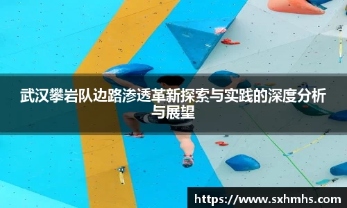 武汉攀岩队边路渗透革新探索与实践的深度分析与展望